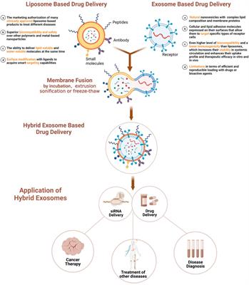 Research progress in membrane fusion-based hybrid exosomes for drug delivery systems